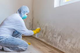 Best Biohazard Mold Removal in USA